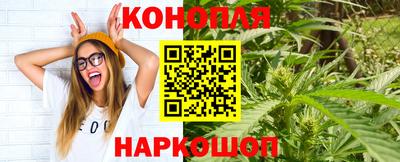индика Коммунар