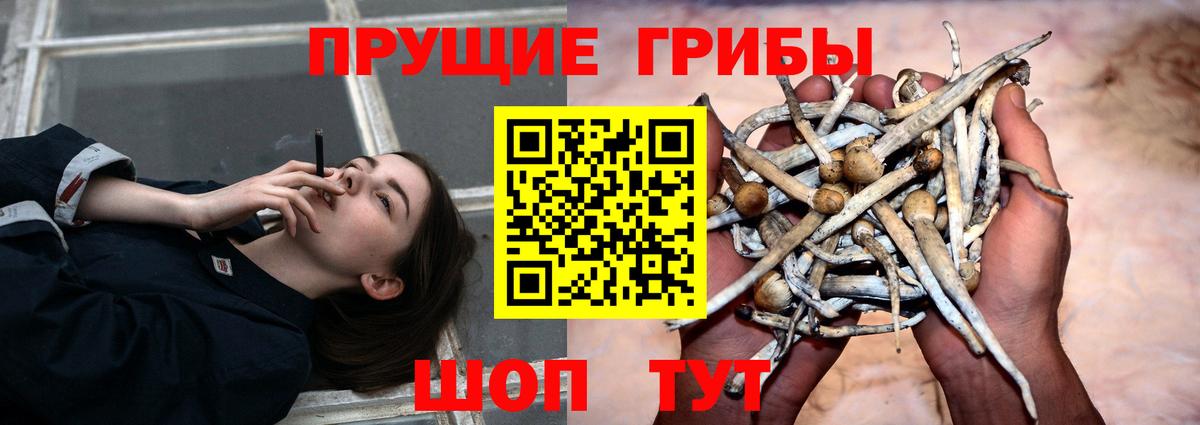 Галлюциногенные грибы GOLDEN TEACHER  Вход с VPN  цена наркотик  Кострома 